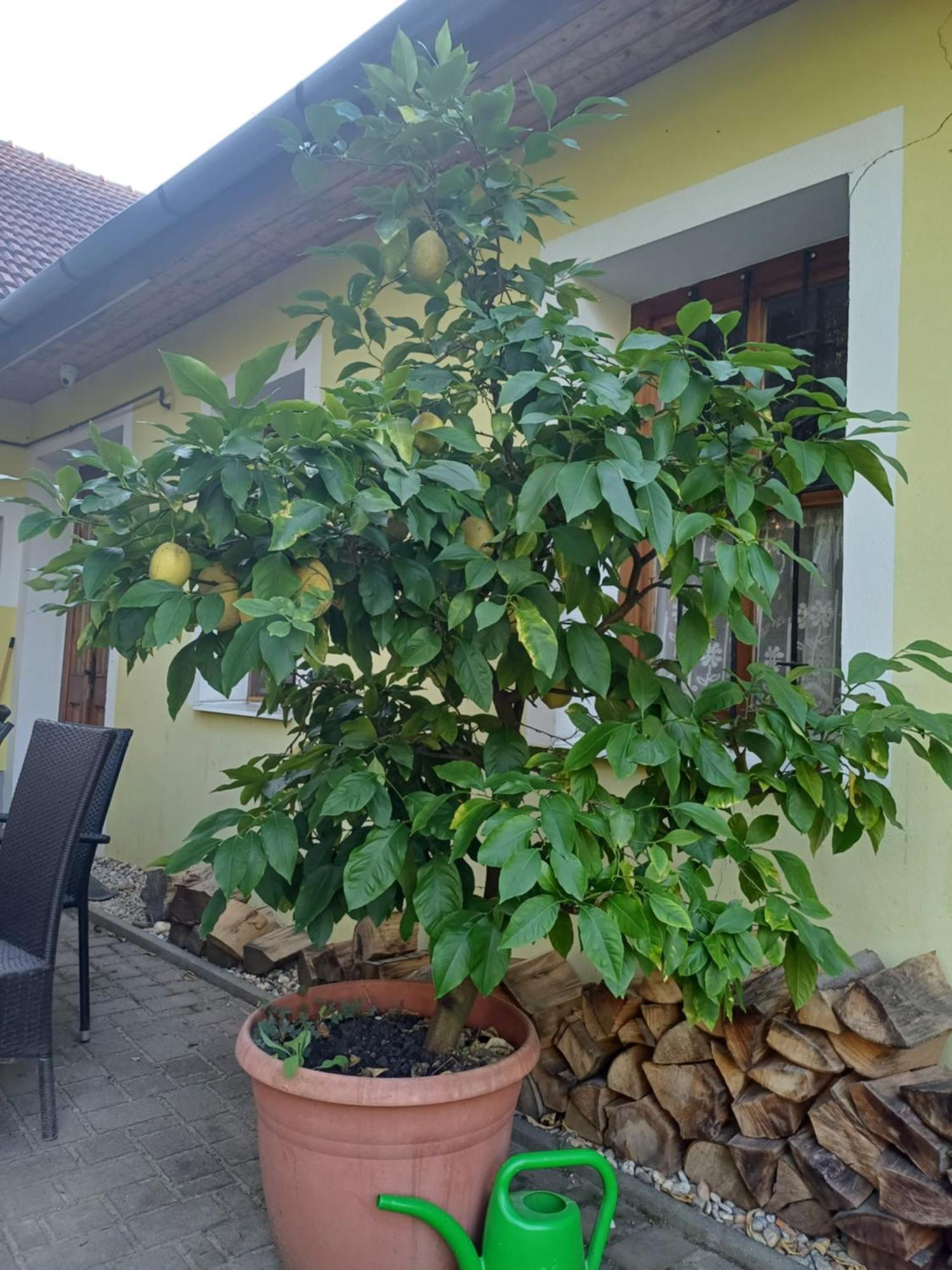 Zanati Apartmannház Nagykapornak Exterior foto